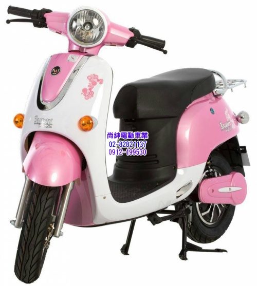 威勝微型電動二輪車TSV12