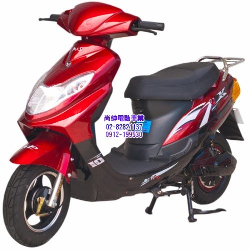 尚紳綠金電動自行車TSV13