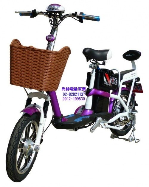 18吋未來電動輔助自行車TSV24