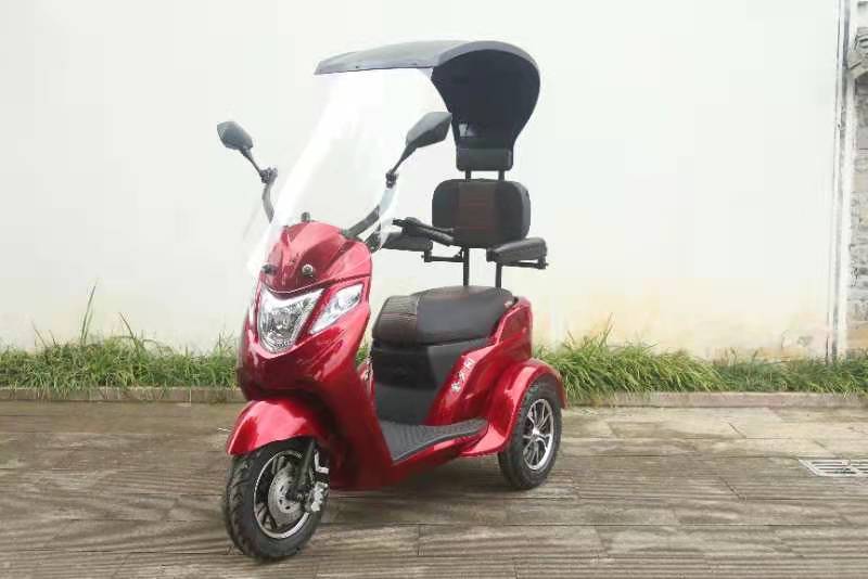 尚紳頂棚電動三輪車TS-301